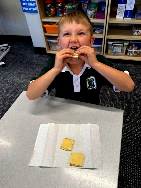 Year 1 student explores fractions using crackers and cheese, demonstrating understanding of halves and quarters through hands-on mathematics learning.