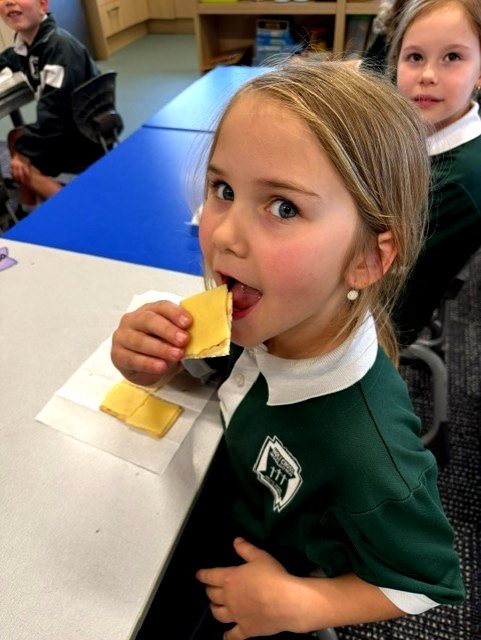 Holy Cross Year 1 student applies fraction knowledge through practical learning, identifying halves and quarters before enjoying the activity.