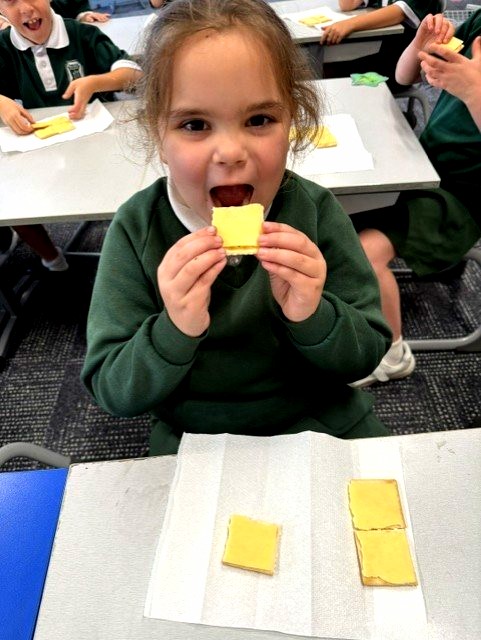 Student demonstrates understanding of fractions by creating and comparing equal parts using food during a hands-on maths lesson.