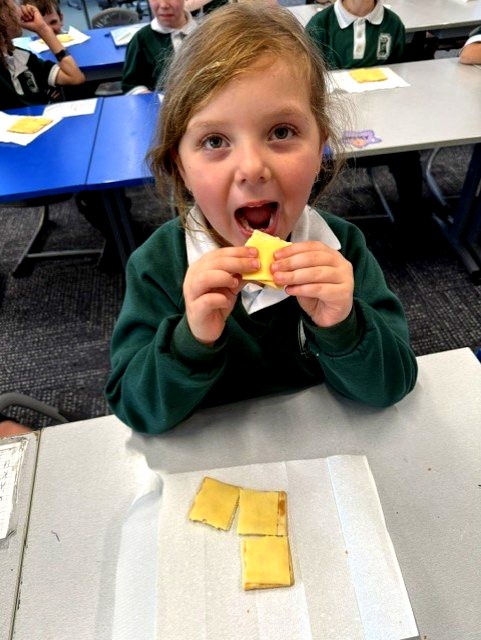 Year 1 student explores fractions with manipulatives, developing understanding of halves, quarters and whole numbers through active learning.